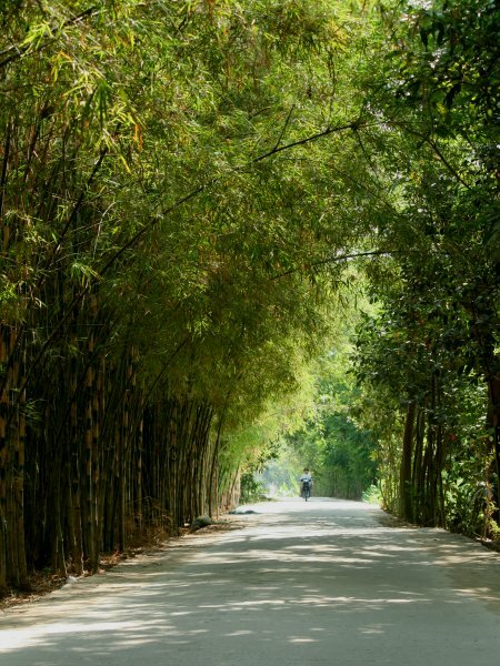 Sổ tay du lịch so tay du lich Sotaydulich Sotay Dulich Khampha Kham Pha Bui Vuon co Bang Lang