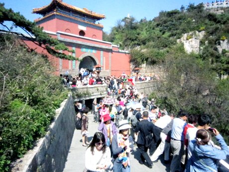  Sổ tay du lịch so tay du lich Sotaydulich Sotay Dulich Khampha Kham Pha Bui Choi nui Thai Son