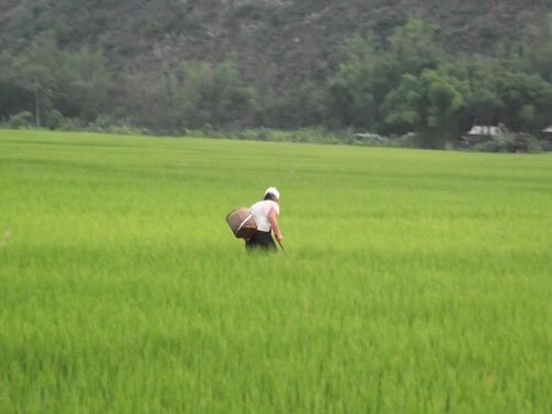 Sổ tay du lịch so tay du lich Sotaydulich Sotay Dulich Khampha Kham Pha Bui Ron rang ban lac