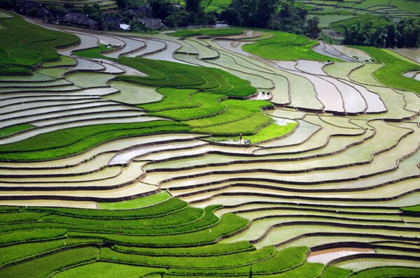 Sổ tay du lịch so tay du lich Sotaydulich Sotay Dulich Khampha Kham Pha BuiCanh dep ruong bac thang mua nuoc do o Tu Le