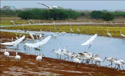 Sổ tay du lịch so tay du lich Sotaydulich Sotay Dulich Khampha Kham Pha Bui Hanh trinh den cac khu Ramsar o Viet Nam 