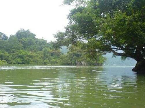 Sổ tay du lịch so tay du lich Sotaydulich Sotay Dulich Khampha Kham Pha Bui Hanh trinh den cac khu Ramsar o Viet Nam 