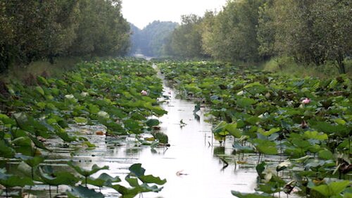 Sổ tay du lịch so tay du lich Sotaydulich Sotay Dulich Khampha Kham Pha Bui Hanh trinh den cac khu Ramsar o Viet Nam 