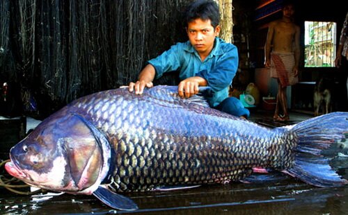 Sổ tay du lịch so tay du lich Sotaydulich Sotay Dulich Khampha Kham Pha Bui Hanh trinh den cac khu Ramsar o Viet Nam 