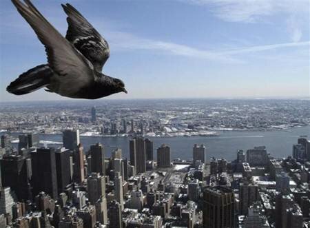 Sổ tay du lịch so tay du lich Sotaydulich Sotay Dulich Khampha Kham Pha Bui Nhip song New York