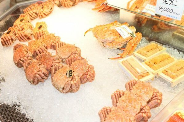 Sổ tay du lịch so tay du lich Sotaydulich Sotay Dulich Khampha Kham Pha Bui san bay Chitose moi hap dan khach khong bay