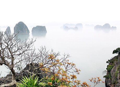 Sổ tay du lịch so tay du lich Sotaydulich Sotay Dulich Khampha Kham Pha Bui Ha Long trong suong