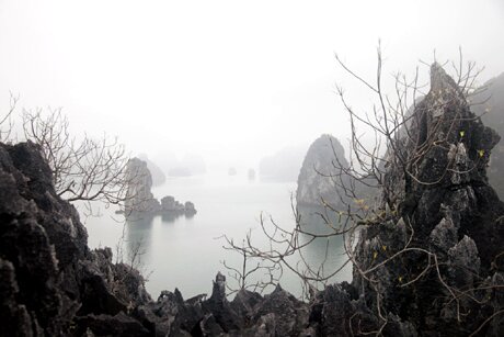 Sổ tay du lịch so tay du lich Sotaydulich Sotay Dulich Khampha Kham Pha Bui Ha Long trong suong