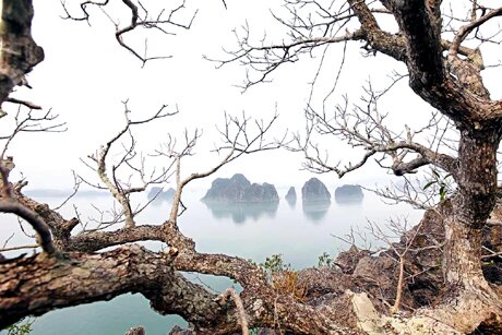 Sổ tay du lịch so tay du lich Sotaydulich Sotay Dulich Khampha Kham Pha Bui Ha Long trong suong