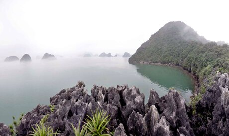 Sổ tay du lịch so tay du lich Sotaydulich Sotay Dulich Khampha Kham Pha Bui Ha Long trong suong
