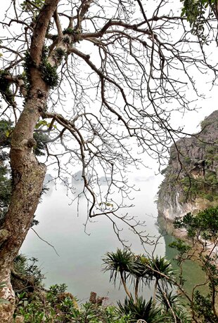 Sổ tay du lịch so tay du lich Sotaydulich Sotay Dulich Khampha Kham Pha Bui Ha Long trong suong