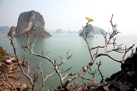 Sổ tay du lịch so tay du lich Sotaydulich Sotay Dulich Khampha Kham Pha Bui Ha Long trong suong