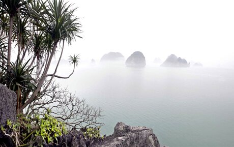 Sổ tay du lịch so tay du lich Sotaydulich Sotay Dulich Khampha Kham Pha Bui Ha Long trong suong