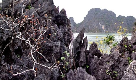 Sổ tay du lịch so tay du lich Sotaydulich Sotay Dulich Khampha Kham Pha Bui Ha Long trong suong
