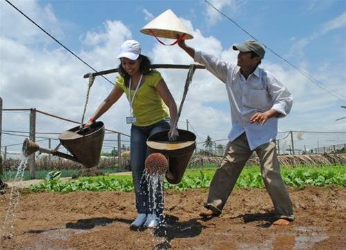 Sổ tay du lịch so tay du lich Sotaydulich Sotay Dulich Khampha Kham Pha Bui Ve Tra Que trong rau
