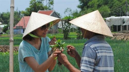 Sổ tay du lịch so tay du lich Sotaydulich Sotay Dulich Khampha Kham Pha Bui Ve Tra Que trong rau