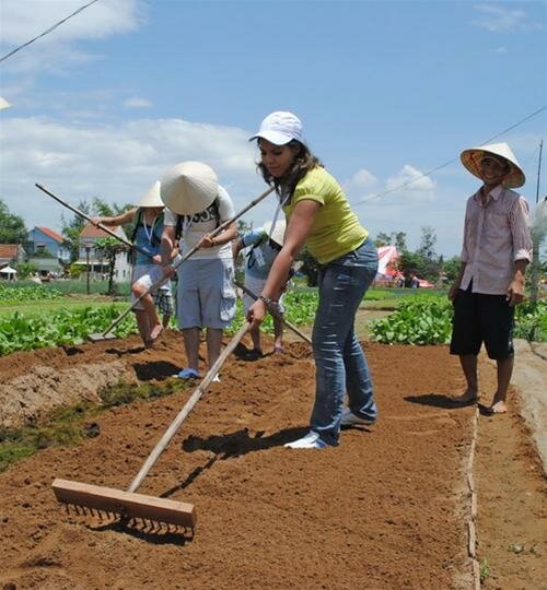 Sổ tay du lịch so tay du lich Sotaydulich Sotay Dulich Khampha Kham Pha Bui Ve Tra Que trong rau