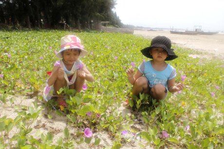 Sổ tay du lịch so tay du lich Sotaydulich Sotay Dulich Khampha Kham Pha Bui Tra Co bai bien tru tinh nhat Viet Nam
