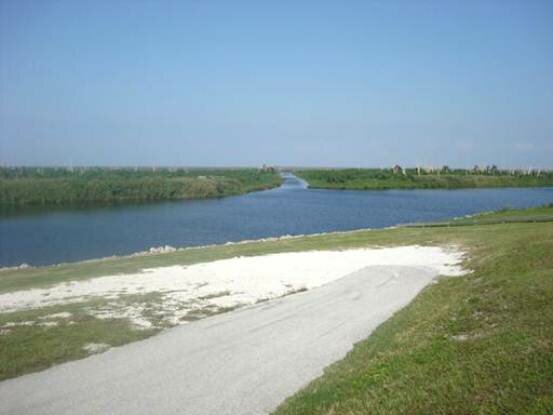 Sổ tay du lịch so tay du lich Sotaydulich Sotay Dulich Khampha Kham Pha Bui cam cau o ho Okeechobee 
