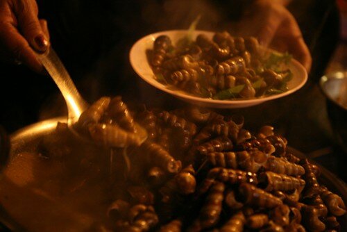 Sổ tay du lịch so tay du lich Sotaydulich Sotay Dulich Khampha Kham Pha Bui 10 diem nen ghe tham khi đen voi Da Lat
