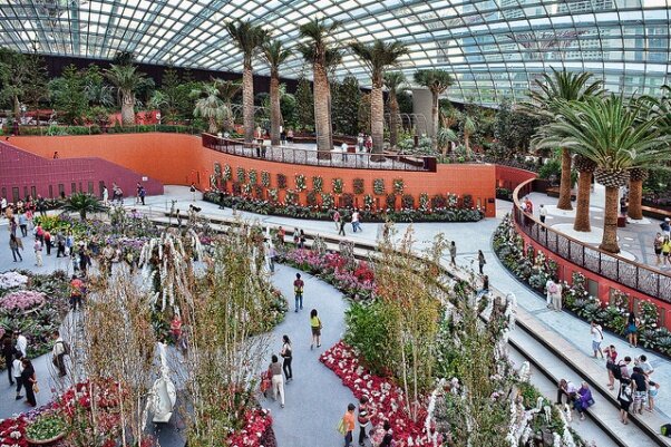 Sổ tay du lịch so tay du lich Sotaydulich Sotay Dulich Khampha Kham Pha Bui Vuon thuc vat Cloud Forest va Flower Dome co gi