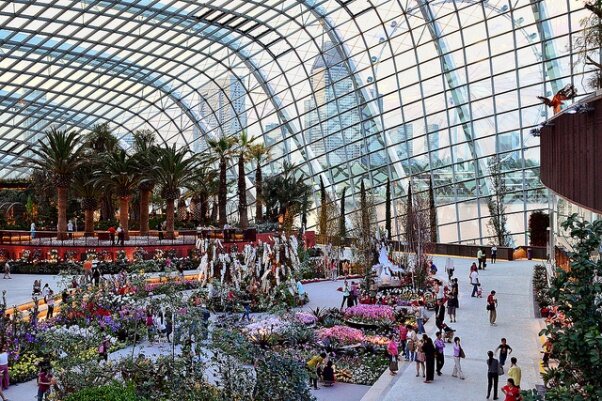Sổ tay du lịch so tay du lich Sotaydulich Sotay Dulich Khampha Kham Pha Bui Vuon thuc vat Cloud Forest va Flower Dome co gi