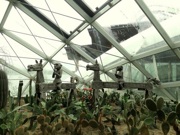 Sổ tay du lịch so tay du lich Sotaydulich Sotay Dulich Khampha Kham Pha Bui Vuon thuc vat Cloud Forest va Flower Dome co gi