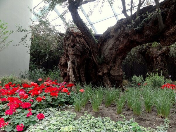 Sổ tay du lịch so tay du lich Sotaydulich Sotay Dulich Khampha Kham Pha Bui Vuon thuc vat Cloud Forest va Flower Dome co gi