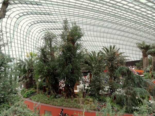 Sổ tay du lịch so tay du lich Sotaydulich Sotay Dulich Khampha Kham Pha Bui Vuon thuc vat Cloud Forest va Flower Dome co gi