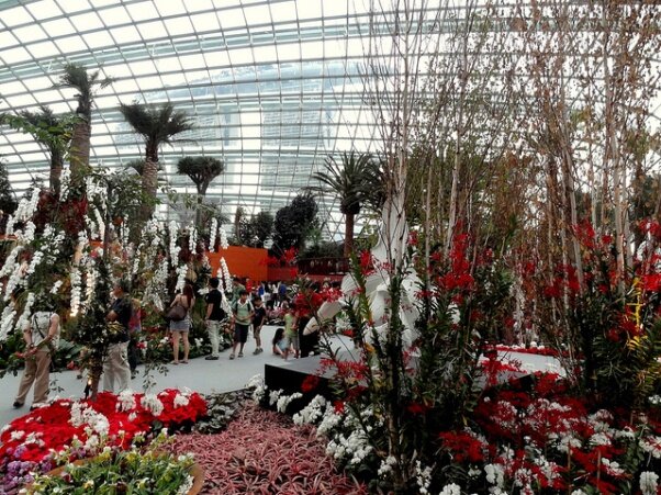Sổ tay du lịch so tay du lich Sotaydulich Sotay Dulich Khampha Kham Pha Bui Vuon thuc vat Cloud Forest va Flower Dome co gi