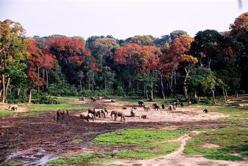 Sổ tay du lịch so tay du lich Sotaydulich Sotay Dulich Khampha Kham Pha Bui Chiem nguong cac di san the gioi moi