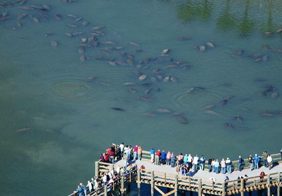 Sổ tay du lịch so tay du lich Sotaydulich Sotay Dulich Khampha Kham Pha Bui Tampa Diem nhan cua du lich bang Florida