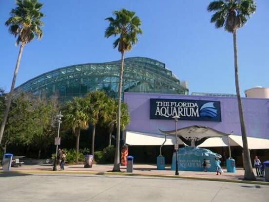 Sổ tay du lịch so tay du lich Sotaydulich Sotay Dulich Khampha Kham Pha Bui Tampa Diem nhan cua du lich bang Florida