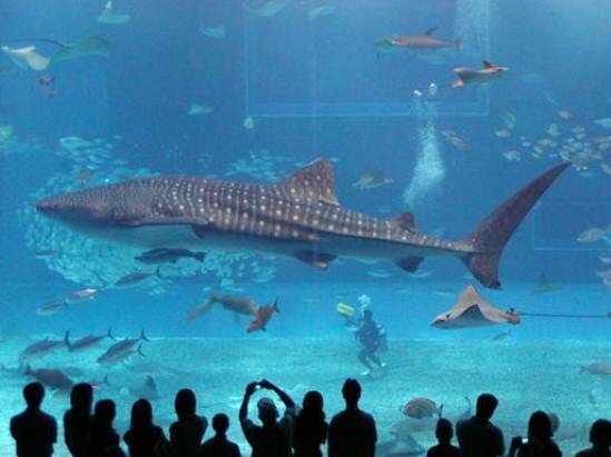 Sổ tay du lịch so tay du lich Sotaydulich Sotay Dulich Khampha Kham Pha Bui Tampa Diem nhan cua du lich bang Florida