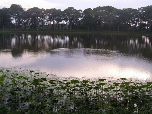 Sổ tay du lịch so tay du lich Sotaydulich Sotay Dulich Khampha Kham Pha Bui Tra Vinh em dem