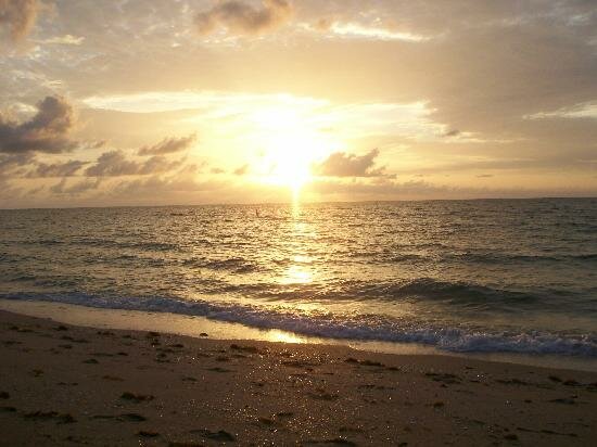 Sổ tay du lịch so tay du lich Sotaydulich Sotay Dulich Khampha Kham Pha Bui Net doc dao o Pompano Beach 