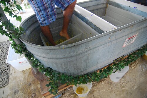 Sổ tay du lịch so tay du lich Sotaydulich Sotay Dulich Khampha Kham Pha Bui Homestead thanh pho nong trai mien nam nuoc mi