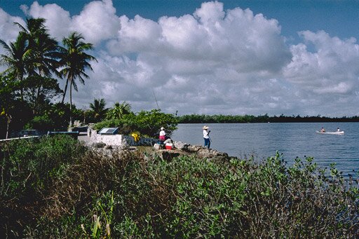 Sổ tay du lịch so tay du lich Sotaydulich Sotay Dulich Khampha Kham Pha Bui Homestead thanh pho nong trai mien nam nuoc mi