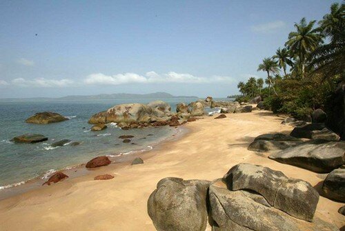 Sổ tay du lịch so tay du lich Sotaydulich Sotay Dulich Khampha Kham Pha Bui Guinea hoang da