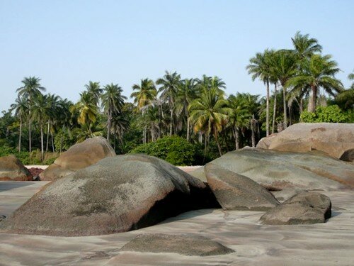 Sổ tay du lịch so tay du lich Sotaydulich Sotay Dulich Khampha Kham Pha Bui Guinea hoang da