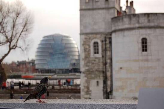 Sổ tay du lịch so tay du lich Sotaydulich Sotay Dulich Khampha Kham Pha Bui City Hall Diem nhan kien truc cua London