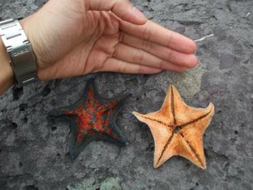 Sổ tay du lịch so tay du lich Sotaydulich Sotay Dulich Khampha Kham Pha Bui Tan huong ky nghi o Yeosu