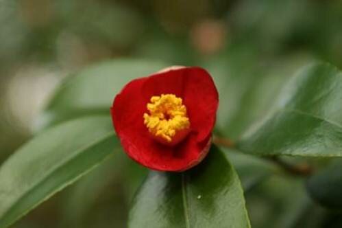 Sổ tay du lịch so tay du lich Sotaydulich Sotay Dulich Khampha Kham Pha Bui Tan huong ky nghi o Yeosu