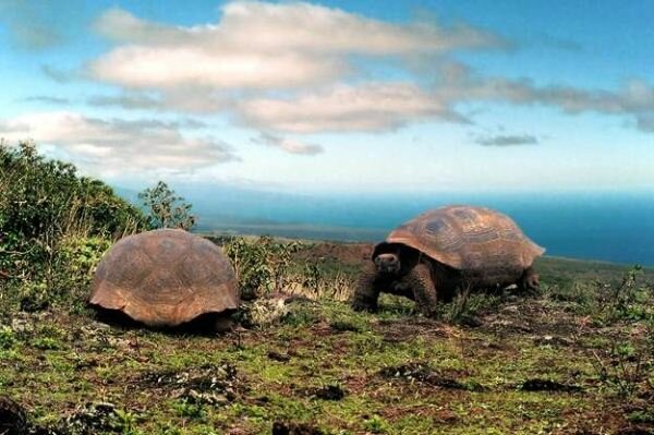 Sổ tay du lịch so tay du lich Sotaydulich Sotay Dulich Khampha Kham Pha Bui Galapagos Ve dep nguyen sinh 