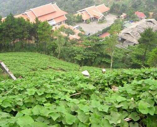 Sổ tay du lịch so tay du lich Sotaydulich Sotay Dulich Khampha Kham Pha Bui Dieu ky Tam Dao