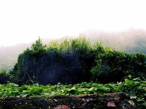 Sổ tay du lịch so tay du lich Sotaydulich Sotay Dulich Khampha Kham Pha Bui Dieu ky Tam Dao