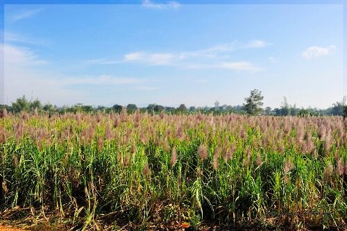 Sổ tay du lịch so tay du lich Sotaydulich Sotay Dulich Khampha Kham Pha Bui Kinh nghiem du lich bui Kon Tum
