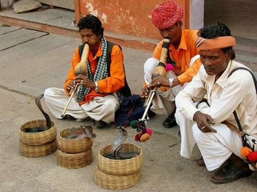 Sổ tay du lịch so tay du lich Sotaydulich Sotay Dulich Khampha Kham Pha Bui Le hoi tam tap va om hon ran doc o An Do