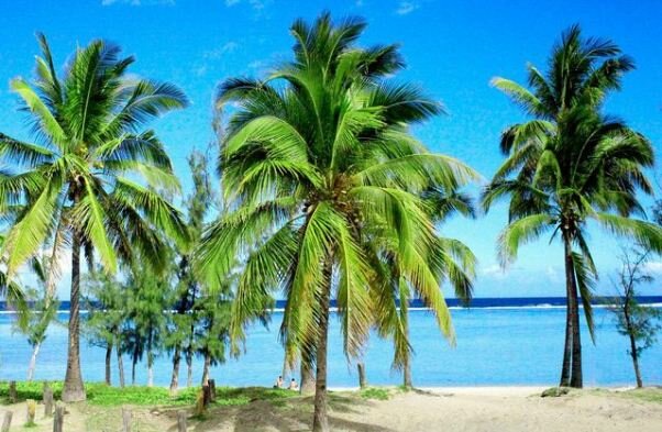Sổ tay du lịch so tay du lich Sotaydulich Sotay Dulich Khampha Kham Pha Bui Có một Reunion mang quá khứ đất Việt