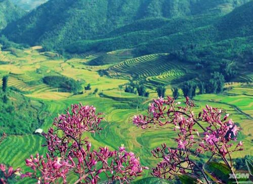 Sổ tay du lịch so tay du lich Sotaydulich Sotay Dulich Khampha Kham Pha Bui Địa điểm du lịch lý tưởng vào dịp nghỉ lễ 2 tháng 9